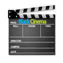 Keeping a Critical Eye on Black Film and Theaatre