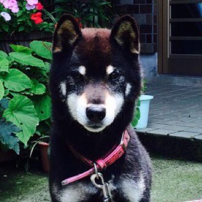 ham650's profile picture. 有機化学 / アカペラ / ピアノ弾き語り/ 英会話 / 車