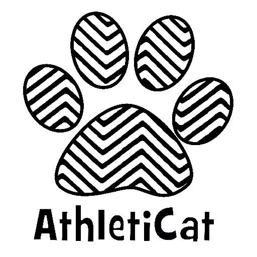 We provide new design furniture for your cats - Elementi di design per i tuoi aMici