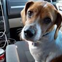 barb stevens - @linusluv - Twitter