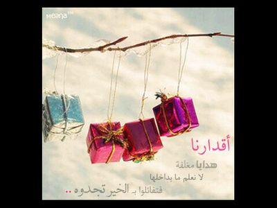 20202080K's profile picture. 