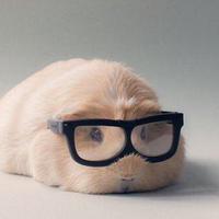 Hipster Hammersmith (@hipsterhammers) 's Twitter Profile