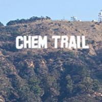 CHEMTRAIL (@_iamchemtrail) 's Twitter Profile Photo CHEMTRAIL (@_iamchemtrail) 's Twitter Profile Photo