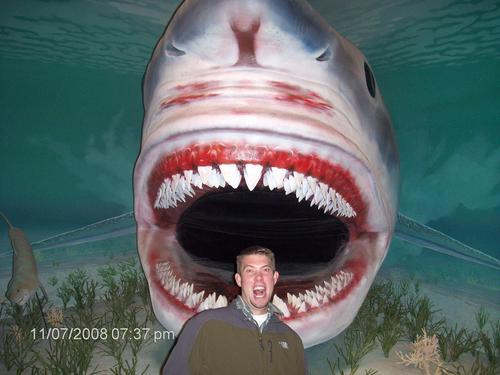 uttpt_13's profile picture. DMA candidate in Trumpet Performance at The University of Utah.