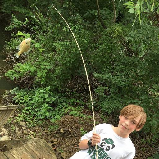 sklosky's profile picture. Engineering the Storage Revolution