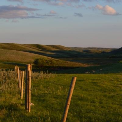 Promoting collaborative partnerships for multi-species at risk conservation in the South of the Divide area of SK, balancing ag & industrial interests.