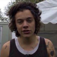 Apenas curto uma boa música e meninos bonitos / Só porque não shippo Larry não quer dizer que não sou directioner