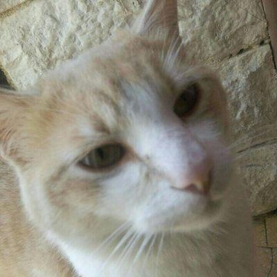 895d155096fa4e5's profile picture. 