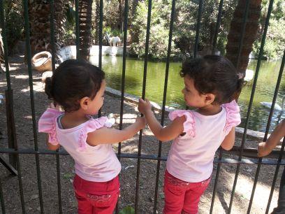 mohamme05775259's profile picture. رحمة السيوفى  كليه اﻻداب_جامعة المنيا