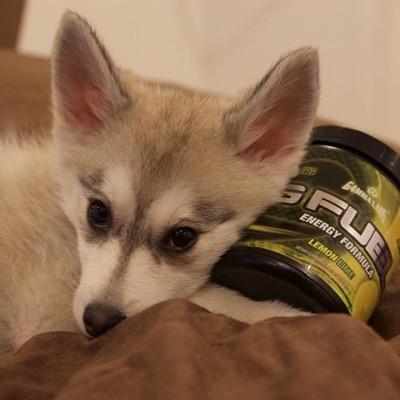 Vetrahh's profile picture. Nick.I LOVE Twitter https://t.co/NAYTpoctsE Have A Nice Day!
BAE: @FaZeBlaziken