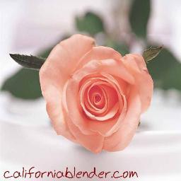 A California wedding resources directory