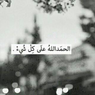 Al3oush993's profile picture. 