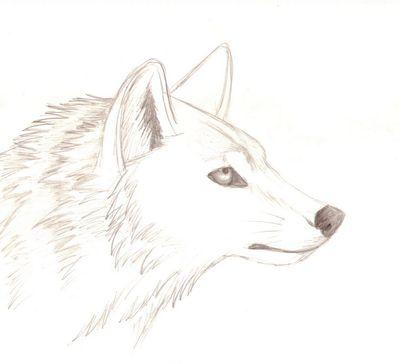 AshlynThoms's profile picture. follow me and I'll follow back :b I'm a wild fan for kreeomega, and can't wait for E-Decks first film! PLEASE FOLLOW FOR SUGAR