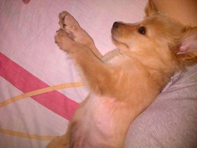 soñadora.ezforzada.ocurrente y muy valente.amo a jesús.mi familia.a todos los niños .y encantan los perros