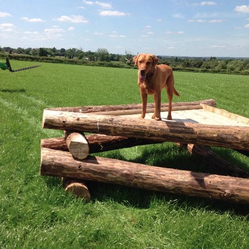 CharlesES's profile picture. 