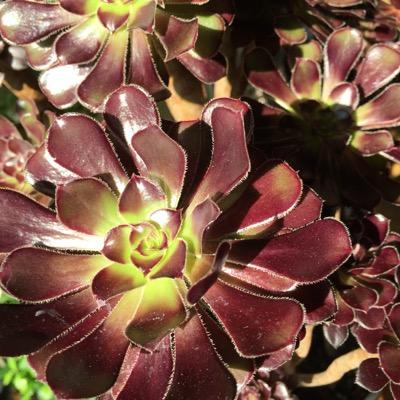 アクマークン Di Twitter ソワソワと言えば 1番に頭に浮かびました あんまりそわそわしないで あなたは いつでもキョロキョロ よそ見をするのはやめてよ 私が誰よりいちばん 好きよ 好きよ 好きよ ラムのラブソング サキコ嬢 ラムちゃんモノマネよろしく アクマークン Di Twitter ソワソワと言えば 1番に頭に浮かびました あんまりそわそわしないで あなたは いつでもキョロキョロ よそ見をするのはやめてよ 私が誰よりいちばん 好きよ 好きよ 好きよ ラムのラブソング サキコ嬢 ラムちゃんモノマネよろしく