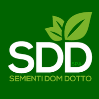 SementiDomDotto(@SementiDomDotto) 's Twitter Profile Photo