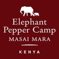 Elephant Pepper Camp(@ElePepperCamp) 's Twitter Profile Photo