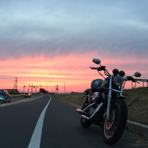Ted_ridelife's profile picture. 夜行性/05スポーツスター1200R/サーフィン/バイク/