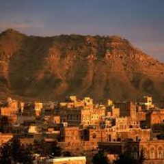 YemenNewsToday's profile picture. highlighting the humanitarian crisis in yemen
