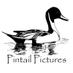 Pintail Pictures (@pintailpictures) Twitter profile photo