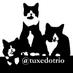 TuxedoTrio (@tuxedotrio) Twitter profile photo TuxedoTrio (@tuxedotrio) Twitter profile photo