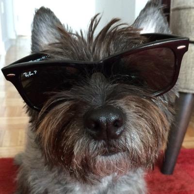 rhollissmith's profile picture. Audio Mixing Engineer, Sound Designer & Composer for Film, TV & Radio at Alphanumeric NY & Goodsmith Music.