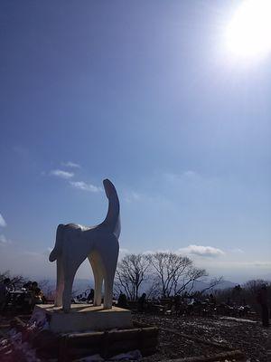 すべては流転し変容を続ける　…　写真と散文、そして小説 空 雲 月 山 トレイルラン  #連続ツイート小説 since2015.1.5 →小説まとめ『駆け抜ける森、見上げた空』※小説垢 @TaketoshiNotes 山垢 @TorailrunnerToshi ※DMは基本的にスルーします