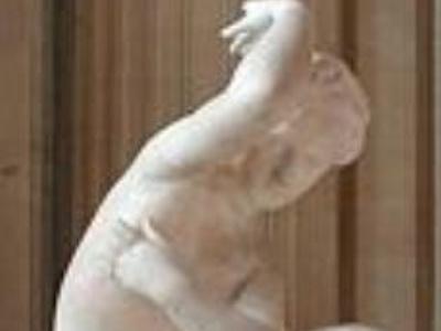 AugarMatrimony's profile picture. echanial Eng.20IG:zizanspr