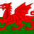 Wales Support Line's avatar