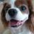 たいいくのTwitterプロフィール画像