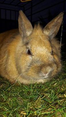 erwinKokoman19's profile picture. 