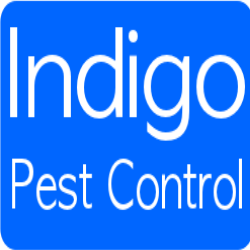 IndigoPestControl