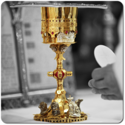 http://t.co/5P8kiDDCsV is the Liturgy Broadcasting Apostolate of the Priestly Fraternity of St. Peter. Also available on the iMass mobile app.