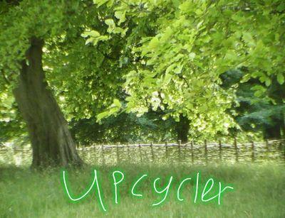 I upcycle old things into mean green creations!
Visit my shop and get some green gold in your life!