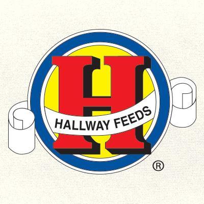 Hallway Feeds - "The Formula For Success"