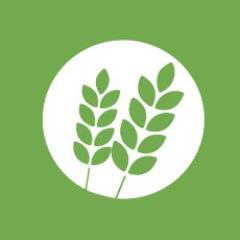 MapleGroveCafe's profile picture. A neighbourhood café in the heart of Thunder Bay’s Waterfront District, serving wholefoods with healthy choices and fresh squeezed juices.