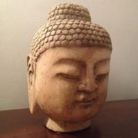 Nicole Richards (@buddhainspired) 's Twitter Profile Photo