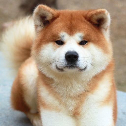 lminhqu's profile picture. 6 năm trời không cờ bạc rượu chè gái gú rồi cũng đến ngày tôi vào lớp một