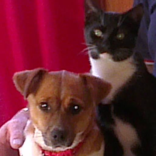 ejblacklock's profile picture. Director of Give Us A Break 2010 @GUAB2010. Former HFE now an Appropriate Adult, hubby is pro Gurner. Opinions are my own.