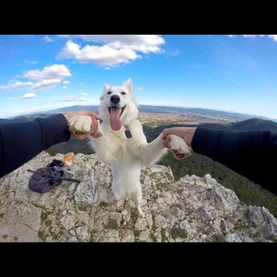 selina12011's profile picture. 