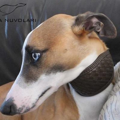 WHIPPET IN ❤️ #whippet #whippetcollar #leathercollar #handmade