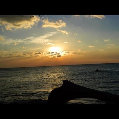 katy_browniee's profile picture. 