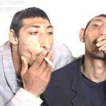 hlkutdcnkiyrscb's profile picture. 