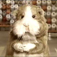 CuyMagico's profile picture. Plata doy y a empresarios asesoro.