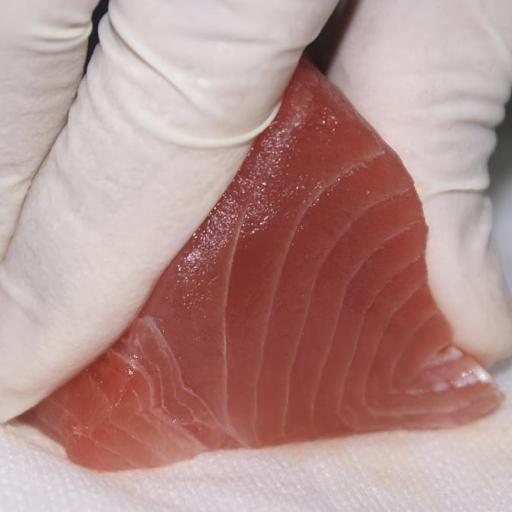 文鯕水產，Wen Chi Seafood Co., Ltd. Supreme Frozen Seafood Supplier Tuna, Marlin, and other fish.