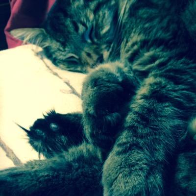 jennings9194's profile picture. Be regular and orderly in your life, so that you may be passionate and original in your work