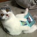 Ivan Ivanov - @grey_187 - Twitter