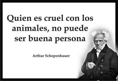 algieri_maria's profile picture. 