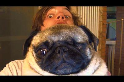 MayaPewds123's profile picture. Im fabulous